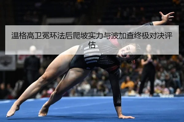 wen-ge-gao-wei-mian-huan-fa-hou-pa-po-shi-li-yu-bo-jia-cha-zhong-ji-dui-jue-ping-gu-2-585.jpg